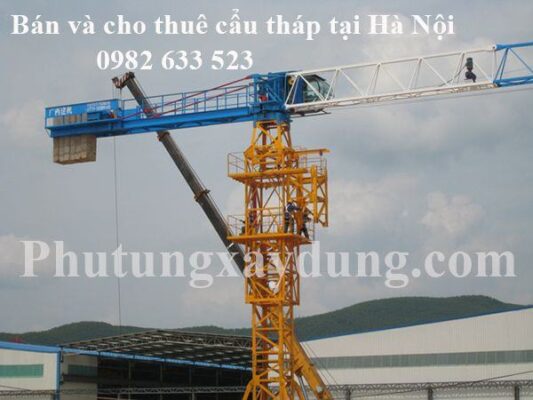 Mua bán và cho thuê cẩu tháp tại Hà Nội
